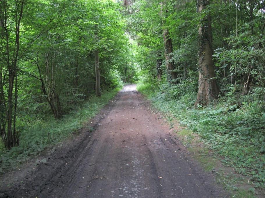 Gite Rural "L'Anseromia" Dinant Exteriér fotografie