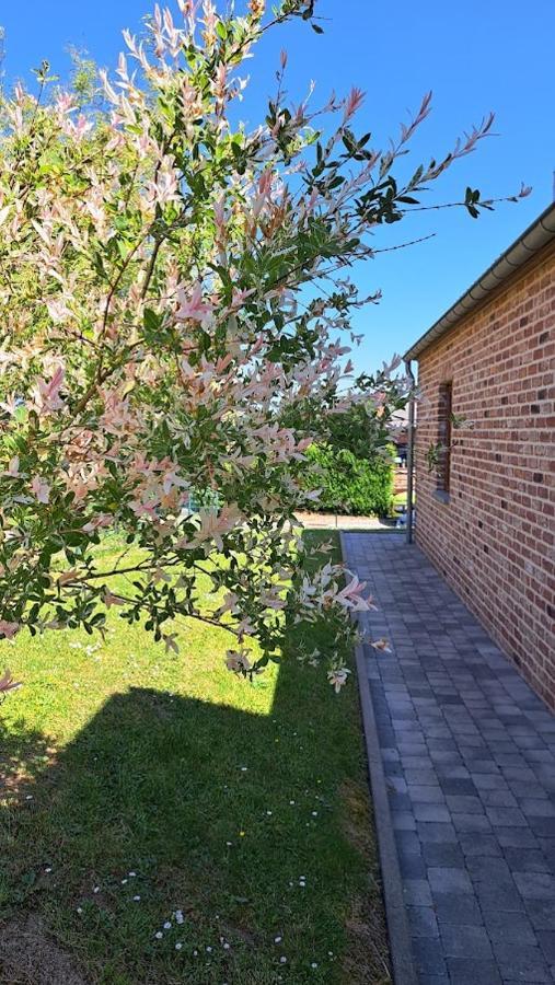 Gite Rural "L'Anseromia" Dinant Exteriér fotografie
